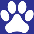 ARF Nets logo