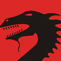Dragon Sport logo