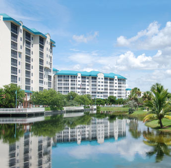 Woodlands